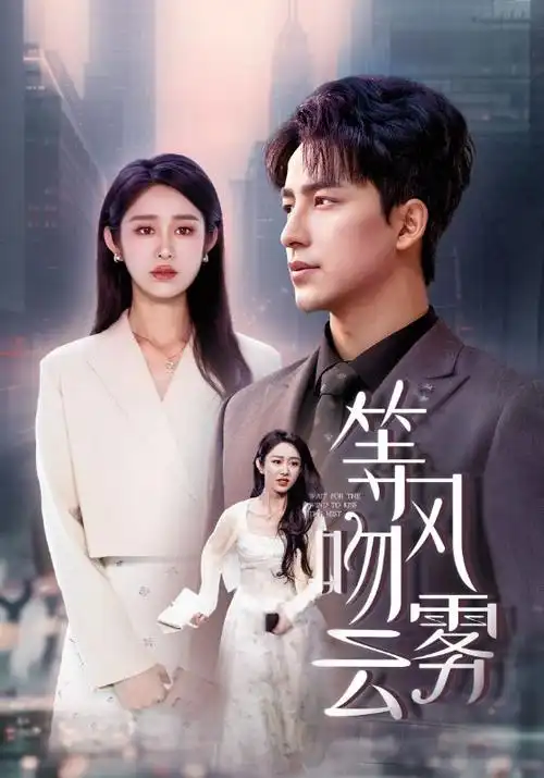 雾港谜局 热播电视剧全集在线观看